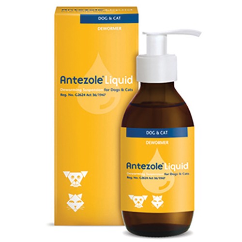 Antezole Liquid Puppy Dewormer 100ml Kyron