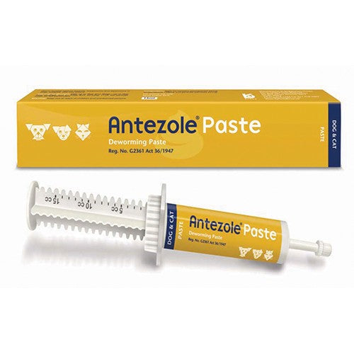 Antezole Paste 15ml Kyron