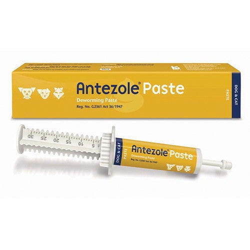 Antezole Paste 30ml Kyron
