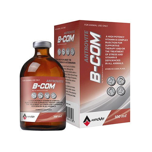 Antrovite B-Com 100ml