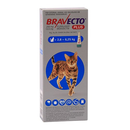 Bravecto Plus For Cats Medium 250mg 1