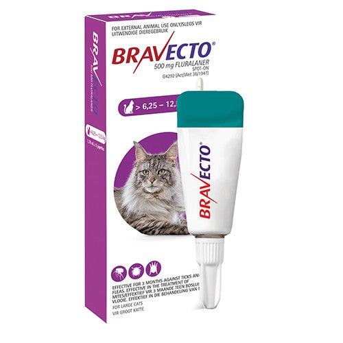 Bravecto Spot-On Cat Large 500mg 1