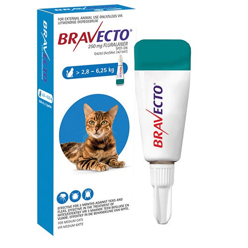 Bravecto Spot-On Cat Medium 250mg 1