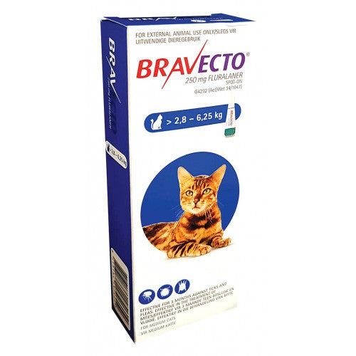 Bravecto Spot-On Cat Medium 250mg 1