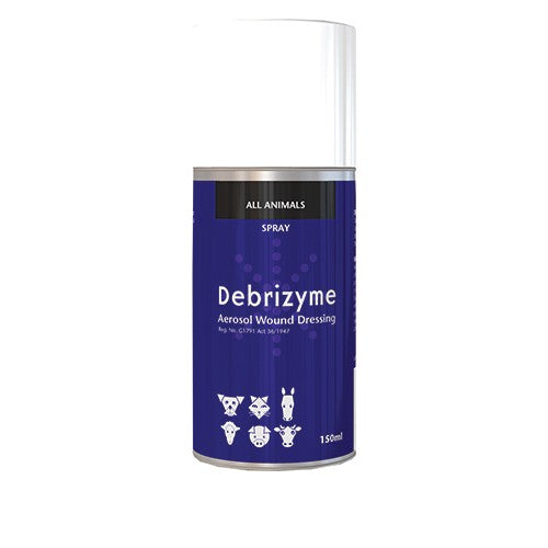 Debrizyme Aerosol  150ml Kyron