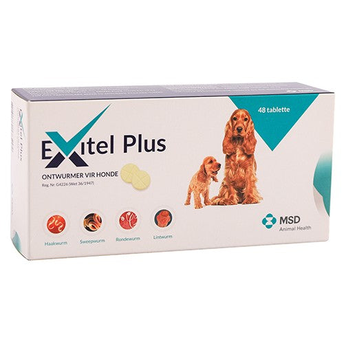 Exitel Plus  48