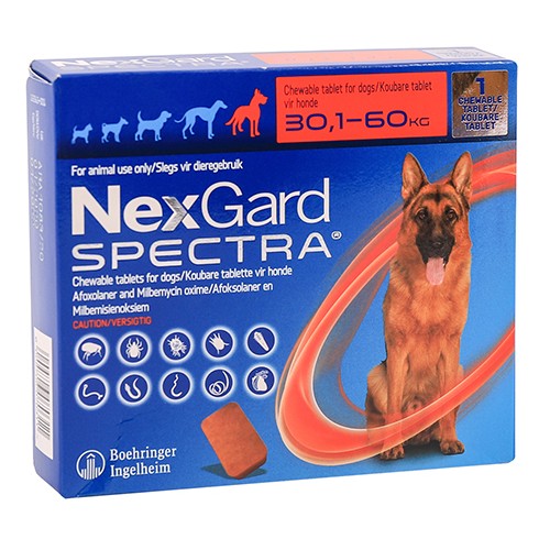 Nexgard Spectra Chew Tablets Xl Dog 1