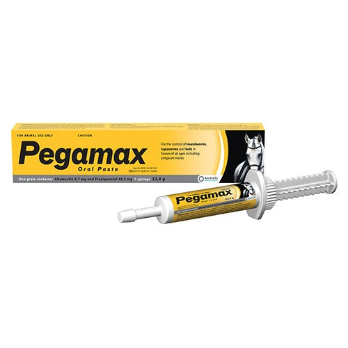 Pegasol Oral 26g Paste