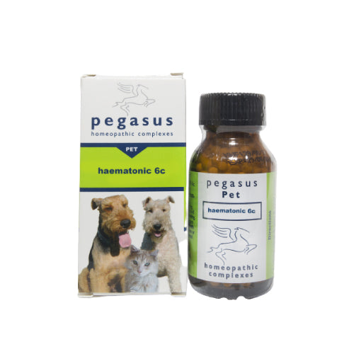 Pegasus Pet Haematonic 6C 25g