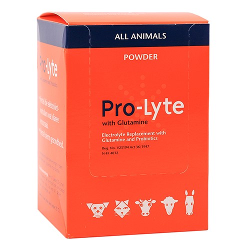 Pro-Lyte +Glutamine 20g X 10 Powders