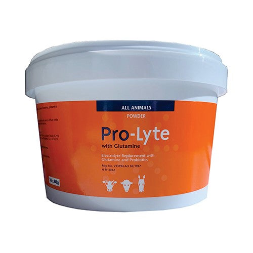 Pro-Lyte +Glutamine 80g X 10 Powders