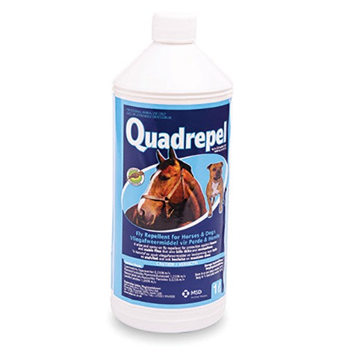 Quadrepel 1000ml