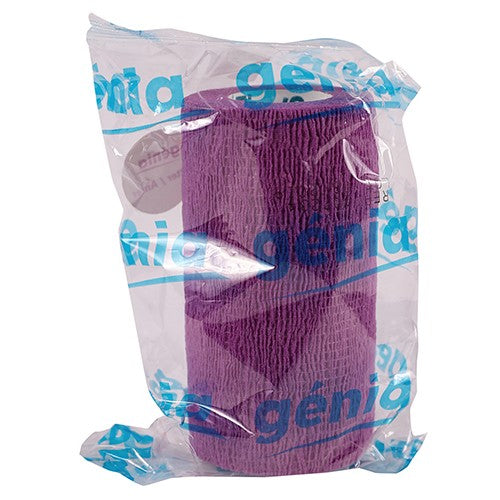 Strap Band Bitter 10cmx4.5m Violet